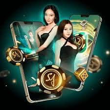 ton4d App ton4d App
